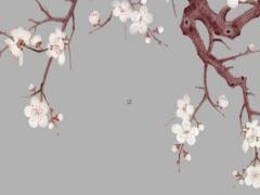 我國十二生肖屬猴的年齡表,生肖猴年齡對照表2023