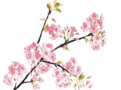 八字個性簽名愛情 八字簽名短句唯美愛情