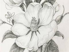 午戌半合火,午戌半合火局對(duì)命運(yùn)的影響