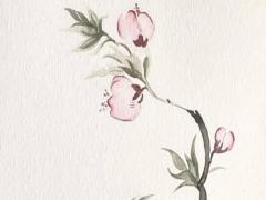 五行適合養(yǎng)兔子的人 養(yǎng)兔子對主人風(fēng)水好嗎