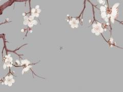 2024龍寶寶幾月出生最好命農(nóng)歷 2024年龍年幾月出生好