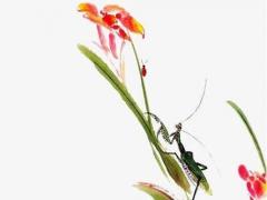 查詢生辰八字佩戴水晶,測五行八字適合佩戴什么
