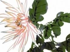 夫妻離婚兩個小孩怎么分配 夫妻離婚兩個小孩怎么分配財產