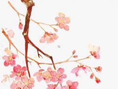 78年農(nóng)歷8月的馬是什么命 78年農(nóng)歷八月的命怎樣