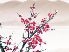 算命說看香火什么意思 看香火是什么意思