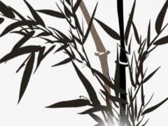 屬相運勢2024年生肖運程 12生肖2024年運程及每月運勢