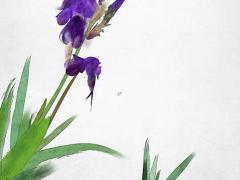 測算八字用什么時間 算八字以哪個時間為準