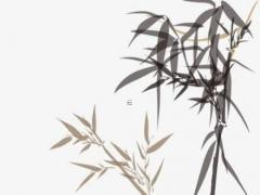 屬虎婚配哪個屬相最不好 屬虎婚姻配什么生肖好