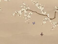 怎么看孩子有沒有文昌星,命里有文昌星的孩子會怎樣