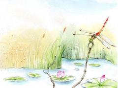 屬猴40歲后有十年大運(yùn) 生肖猴40歲以后運(yùn)勢(shì)