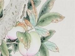 屬虎98年出生是什么命,1998年屬虎女孩姻緣在哪一年