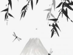 轉運四方包稅路線怎么走 轉運四方包裹多久出庫