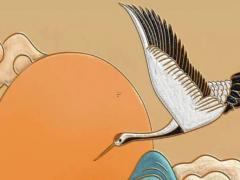 馬和馬能結(jié)婚嗎 馬和馬能婚配嗎