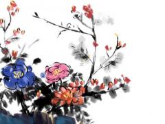 幾號出生巨蟹命不好,巨蟹座六月好還是七月好