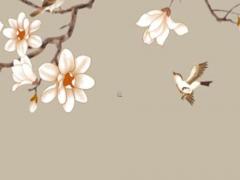 1978年女 屬馬人2024年全年運(yùn)勢(shì)及運(yùn)程詳解