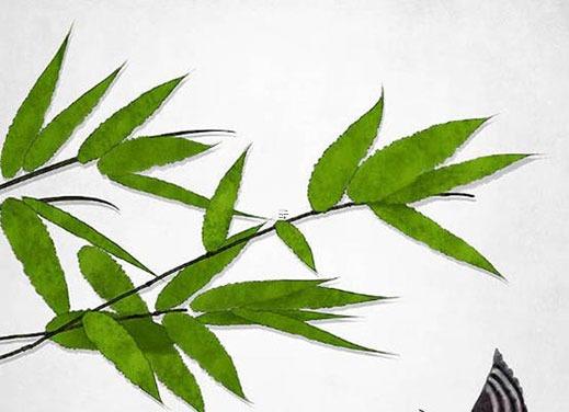 八字從弱是五行弱嗎 八字從弱的人會怎樣