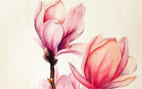 怎么知道自己什么時(shí)候運(yùn)氣好 怎么知道自己什么時(shí)候起運(yùn)