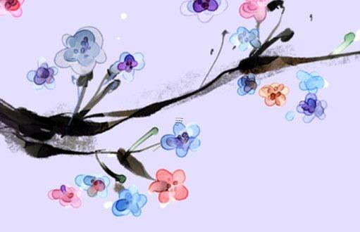 屬虎和屬兔家里客廳放什么植物好,屬兔和屬虎家里擺什么好