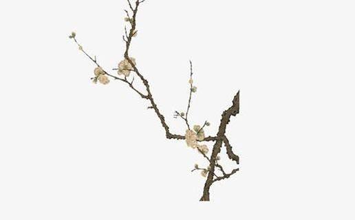 八字屬火的行業 八字里屬火的行業