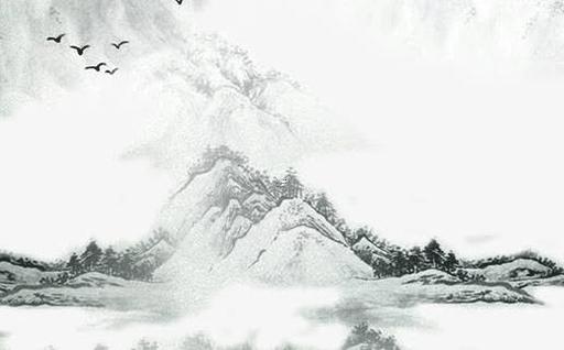 屬蛇適合種什么綠植,屬蛇應(yīng)該種什么植物
