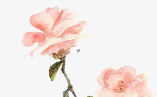 為什么找對(duì)象不能找屬羊的人結(jié)婚 為啥找對(duì)象不找屬羊的