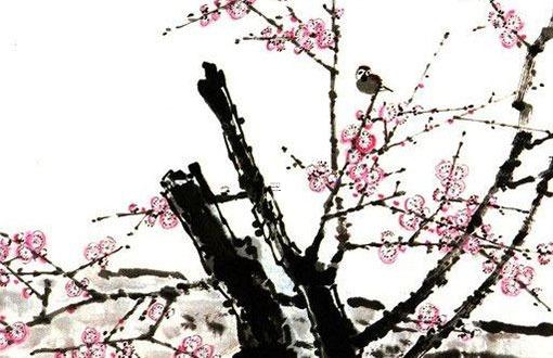 92年的屬猴的今年幾歲,92年屬猴人今年多少歲 92年的屬猴的今年幾歲,92年屬猴人今年多少歲