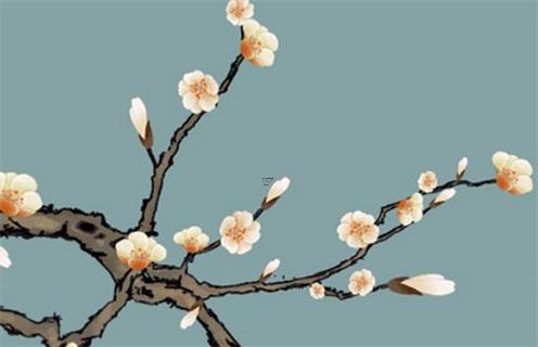 男狗女豬的婚姻相配嗎,94狗95豬2023年結(jié)婚吉日