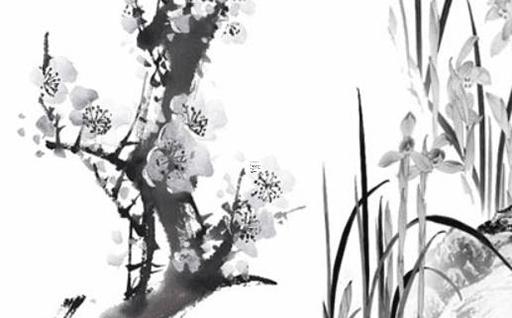 2024年龍寶寶什么命屬五行屬什么 2024年的龍寶寶好不好