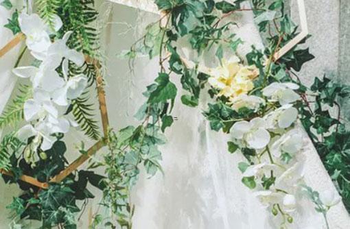 十二星座“小金庫”是咋養成的? 十二星座“小金庫”是咋養成的?