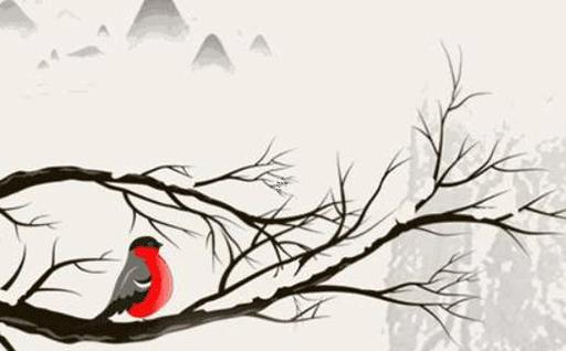 2024年陽歷1月出生的寶寶屬什么 2024年1月1日出生