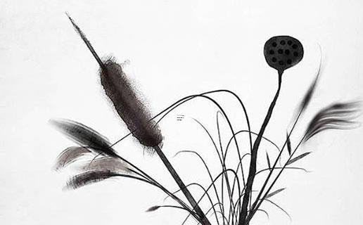 很少人知道會用的經(jīng)典個性微信網(wǎng)名男女通用款