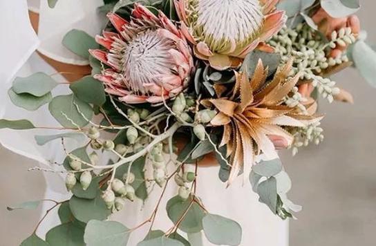 處女座旅游時候會怎么表現 處女座旅游時候會怎么表現