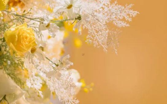 處女女為什么要假裝高潮 處女女為什么要假裝高潮
