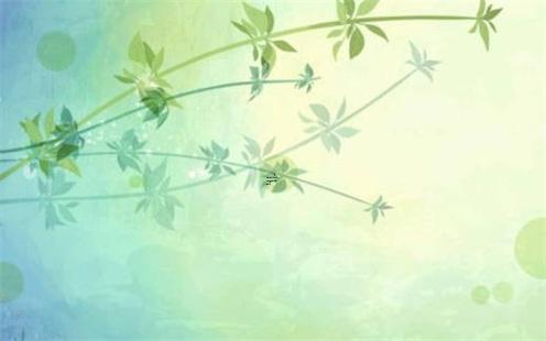 女右手斷掌十簸箕八字純陽好不好 右手斷掌十個斗的女人