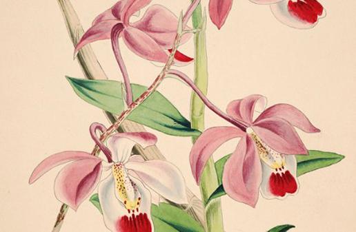 朱丹周一圍八字分析 朱丹周一圍是什么關系 朱丹周一圍八字分析 朱丹周一圍是什么關系