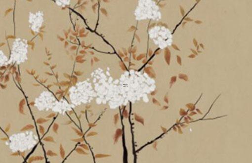 鼠是哪一年出生,鼠是哪一年出生的今年幾歲
