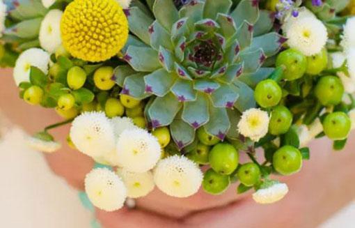 2017年財氣最旺的星座,傻眼了 2017年財氣最旺的星座,傻眼了