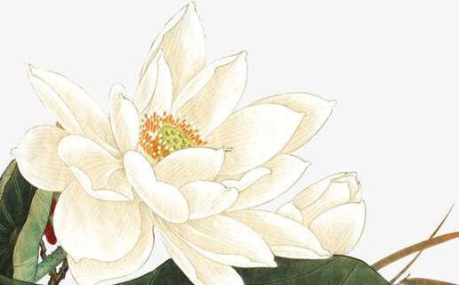 寫(xiě)小說(shuō)男主好聽(tīng)的名字