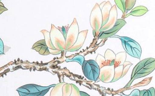 君子蘭擺放哪里招財 一進門見到什么植物好