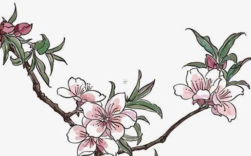 屬蛇的人一生大運(yùn)年 屬蛇人的大運(yùn)年份