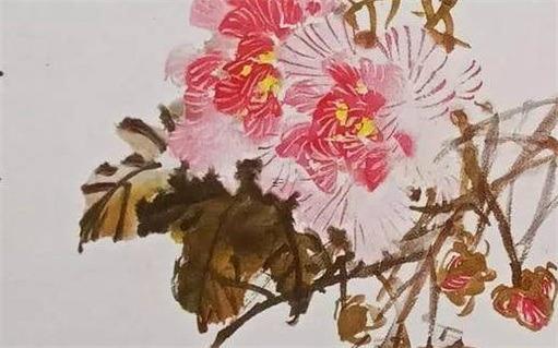 屬虎人運氣怎么樣 屬虎的人運氣好嗎