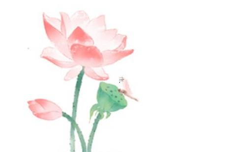 屬龍的家里掛什么山水畫最好,屬相龍家里可以掛什么畫