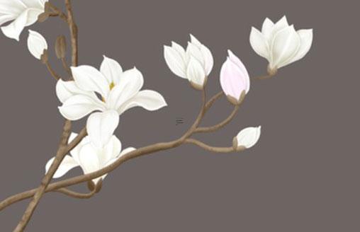 屬馬生屬豬的孩子好嗎 屬馬人生個屬豬的孩子好不好