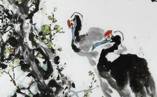 屬豬找對(duì)象的女人,屬豬的女人找屬什么的對(duì)象最好