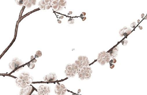 藍貓招財名字大全 藍貓是招財貓嗎