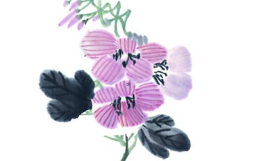 紫微斗數(shù)怎么排盤,紫薇命盤詳解,免費版