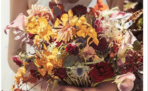 如果處女座中了500萬會怎樣 如果處女座中了500萬會怎樣