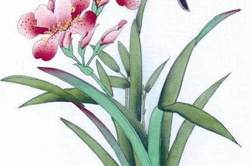 屬羊2024年運(yùn)勢及運(yùn)程女性如何 屬羊的2024年運(yùn)勢怎么樣 女性