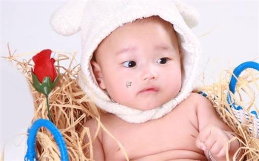 屬豬寶寶如何起名可以避免重名 屬豬的取名應該避免什么