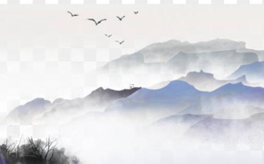 屬蛇適合戴什么菩提,屬蛇佩戴什么佛珠